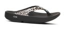 Oofos - Oolala -1403 - Leopard