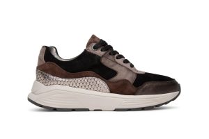 Xsensible - Wjdte H - Golden gate - 330.00 - Bruin - Uitneembaar voetbed