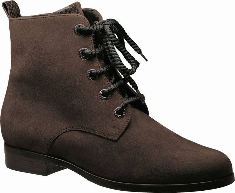 Hassia - Wijdte H - 306242 - Bruin - Uitneembaar voetbed